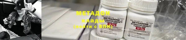 прущие грибы Михайловск