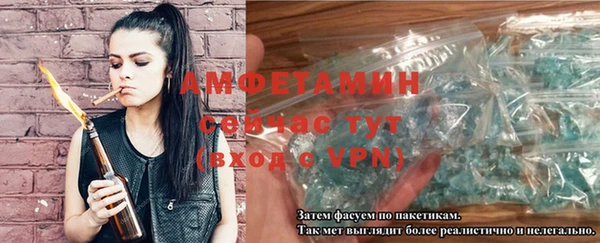 прущие грибы Михайловск