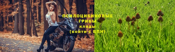 спиды Михайлов