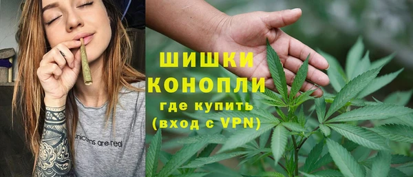 прущие грибы Михайловск