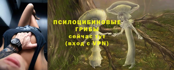 спиды Михайлов