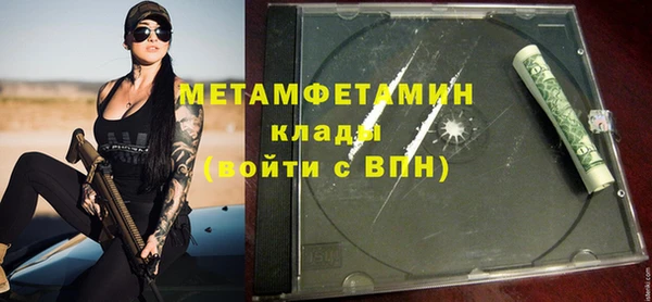 прущие грибы Михайловск