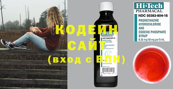 прущие грибы Михайловск