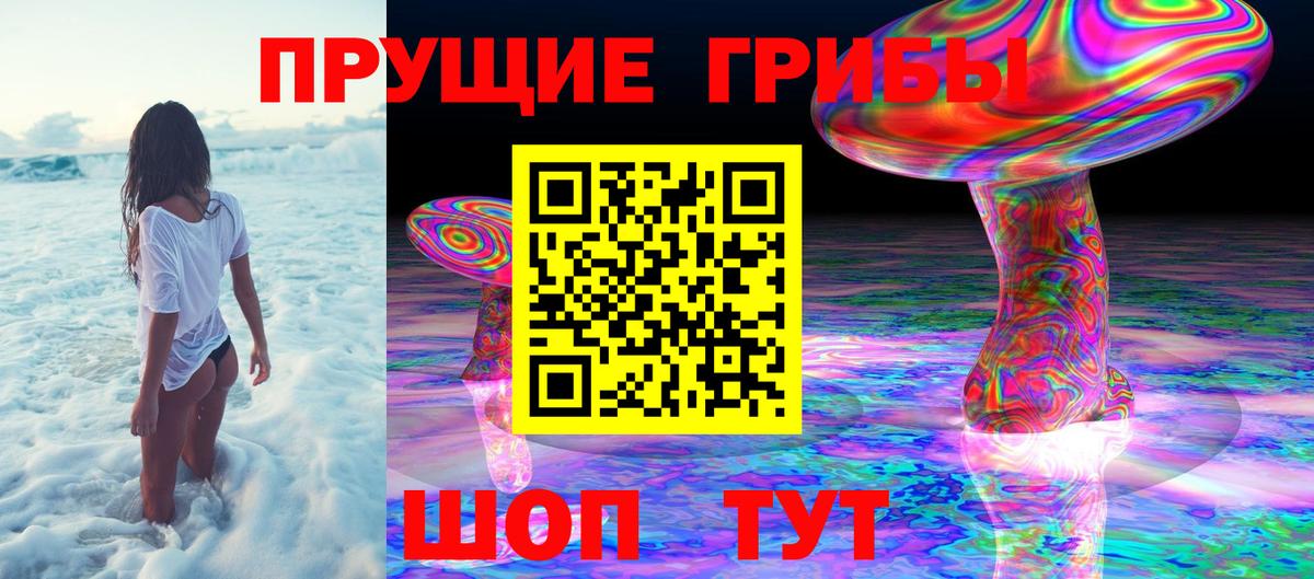 Псилоцибиновые грибы GOLDEN TEACHER  Псилоцибиновые грибы мухоморы  Старая Купавна  Вход с VPN 
