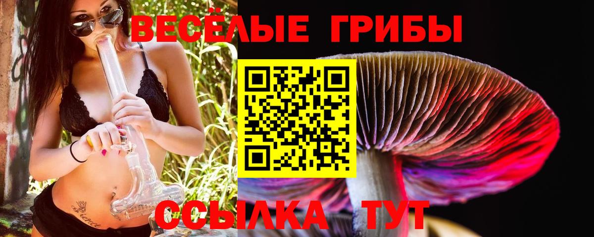 Галлюциногенные грибы MAGIC MUSHROOMS Старая Купавна