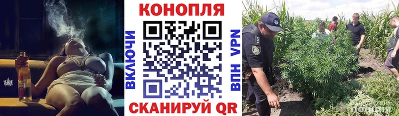 продажа наркотиков  Старая Купавна  Канабис OG Kush 